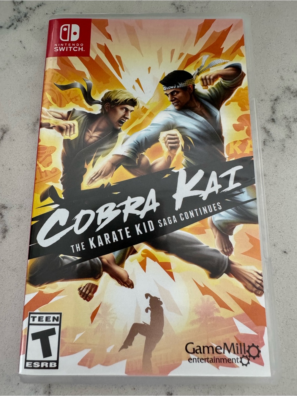 Nintendo cobra Kai game from the show!